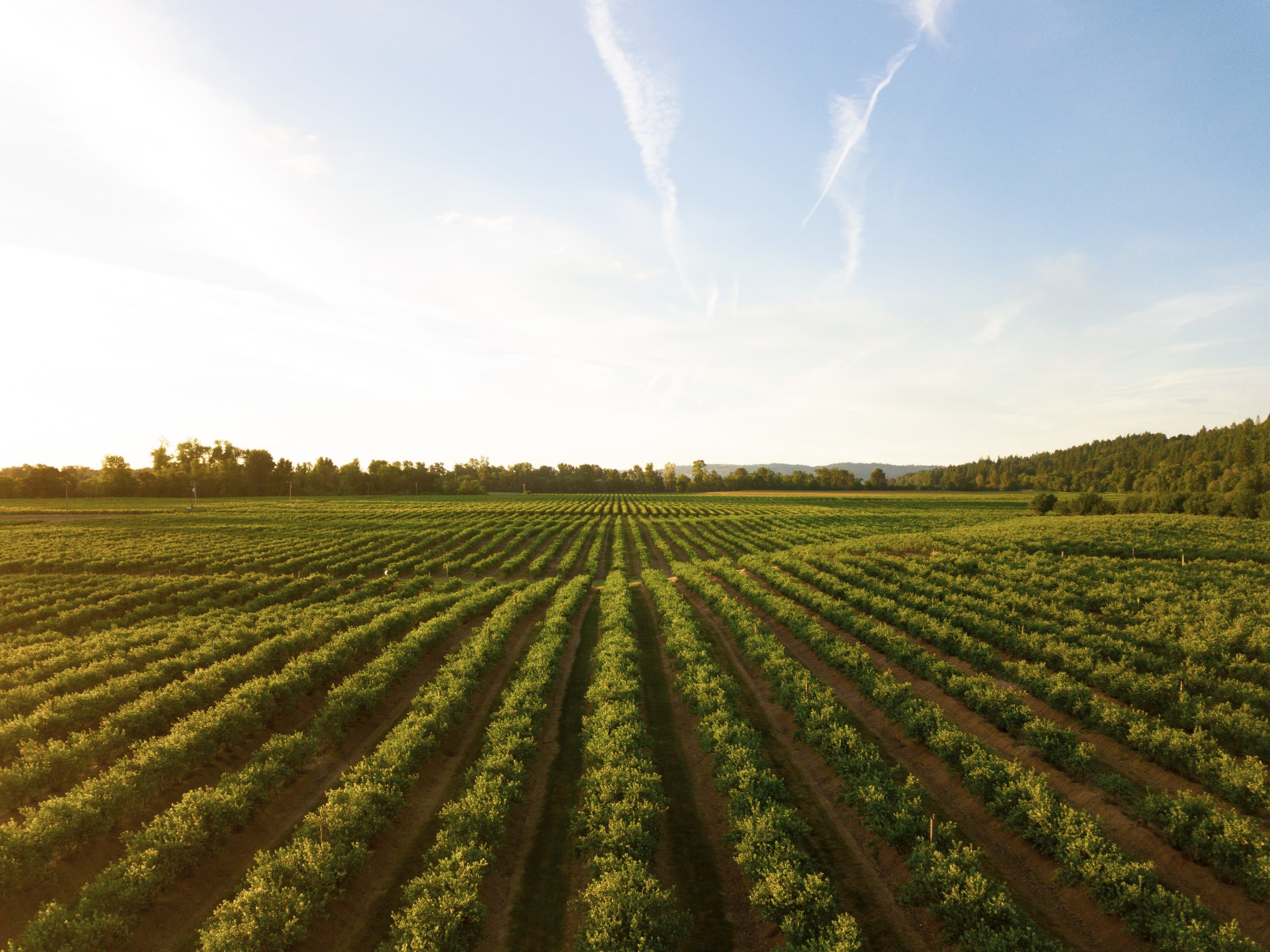 agtech investors