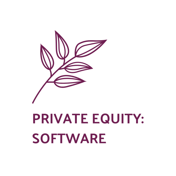 List of the 350 largest Software Private Equity Investors Europe [Update 2024]