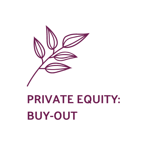 List of the 300 largest Buy-Out Private Equity Investors Europe [Update 2024]