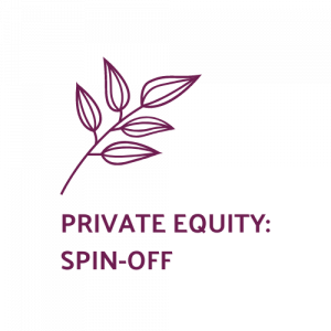 List of the 80 largest Spin-Off Private Equity Investors Europe [Update 2024]