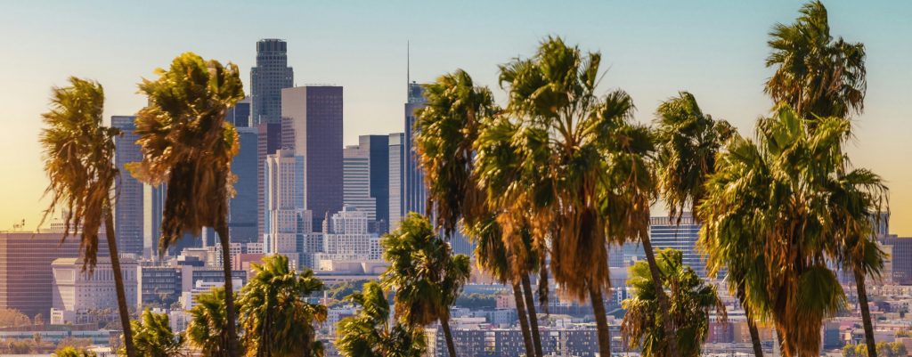 Top 10 Real Estate Investors in California