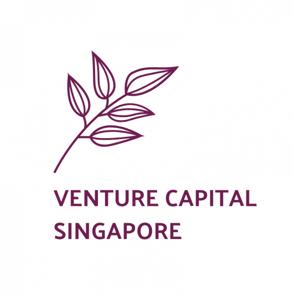 List of the 30 largest Venture Capital Funds from Singapore [2025]